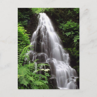 Fairy Falls Postkarte