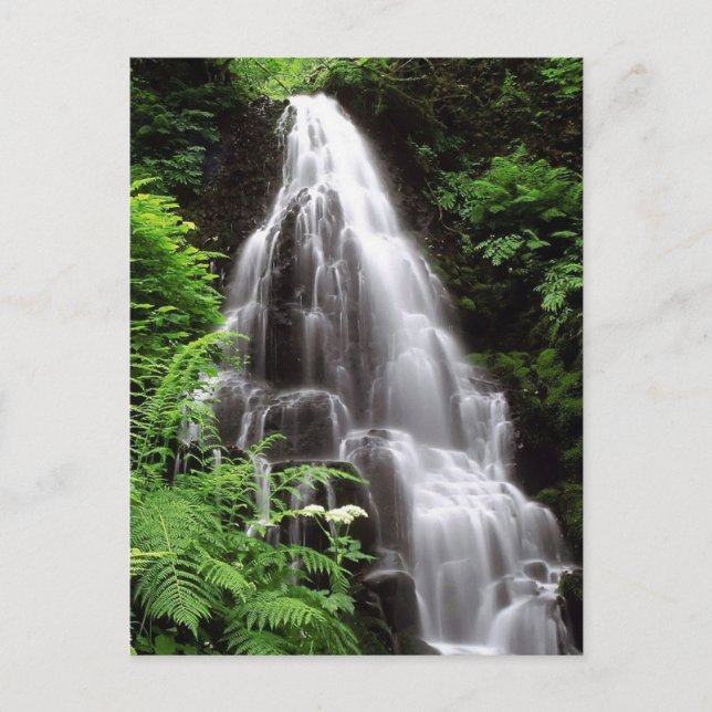 Fairy Falls Postkarte (Vorderseite)