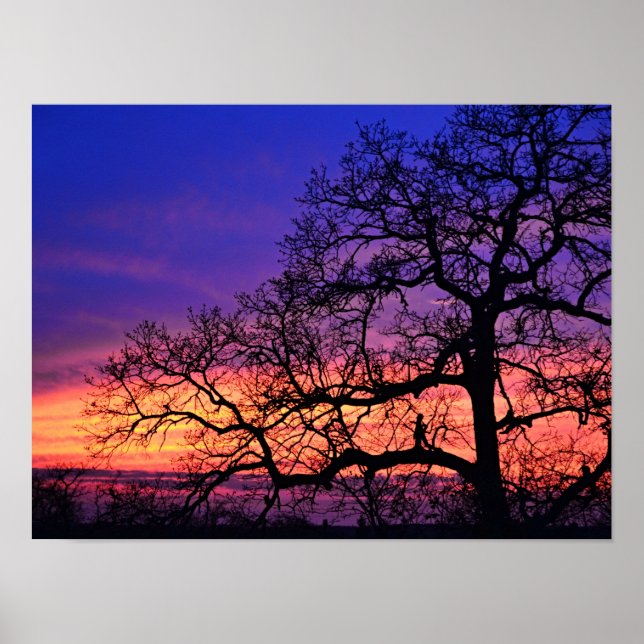 Fairy Girl Silhouetted Tree Sunset Poster (Vorne)
