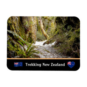 Fairy Jungle, Kiwi trekking /Neuseeland Magnet