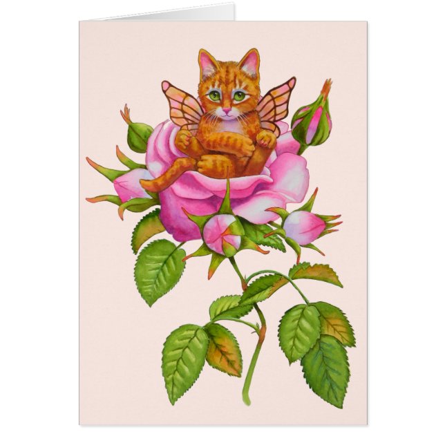 Fairy Kitten Ruhen in Rose (Vorne)