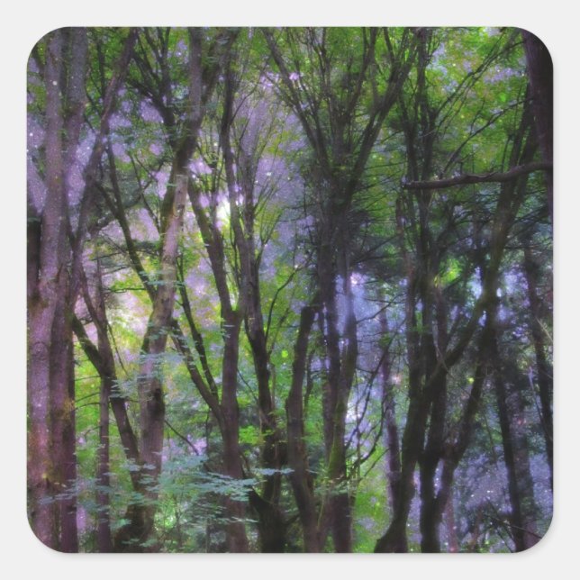 Fairy Lights Surreal Forest Quadratischer Aufkleber (Vorderseite)