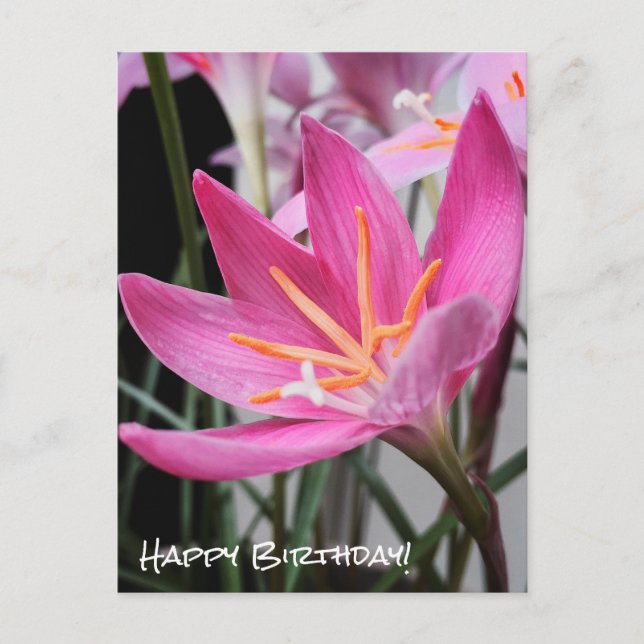 Fairy Lily Birthday wünscht Postcard Postkarte (Vorderseite)