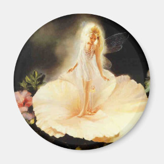 Fairy Magnet