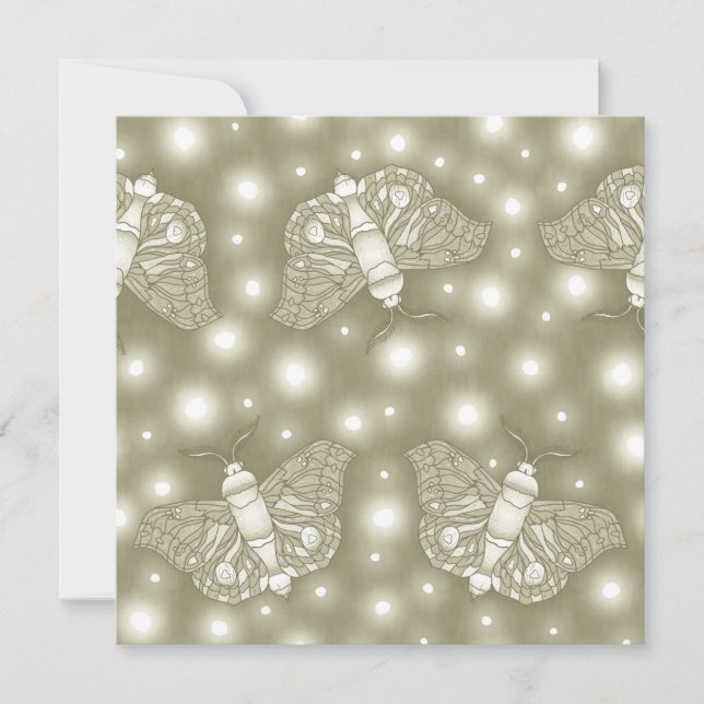 Fairy Moths (Vorderseite)