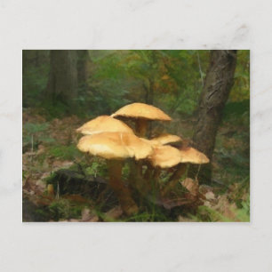 Fairy Mushroom Ring Postkarte