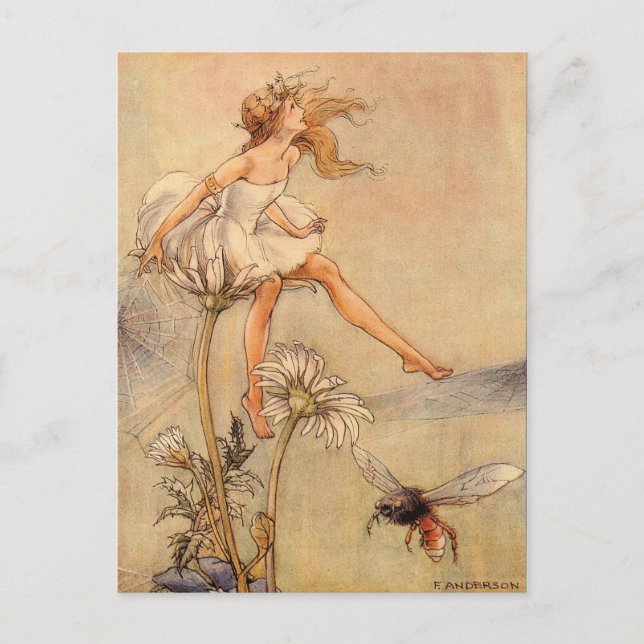 Fairy on a Daisy Postkarte (Vorderseite)