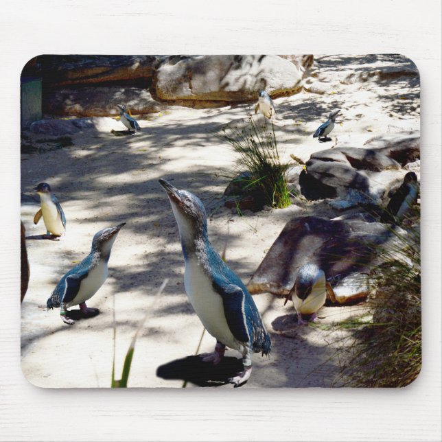 Fairy Pinguin Paradise, Mousepad (Vorne)