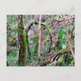 Fairy Portal - Rio de Mouros - Conímbriga - PT Postkarte