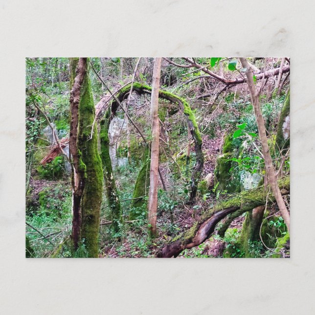 Fairy Portal - Rio de Mouros - Conímbriga - PT Postkarte (Vorderseite)