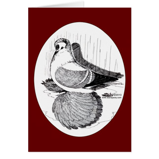 Fairy Swallow Taube 1978 (Vorne)