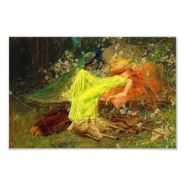 Fairy Tale Arthur Wardle Fotodruck (Vorne)
