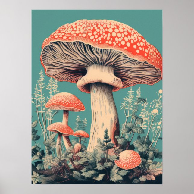Fairy Tale Fungi Poster (Vorne)