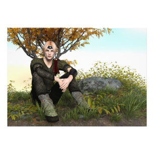 Fairy Tale Prince Fotodruck