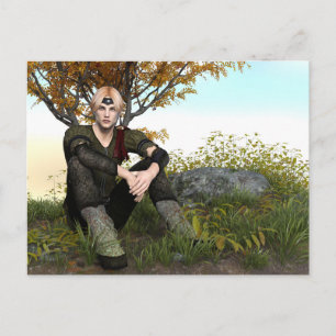 Fairy Tale Prince Postkarte
