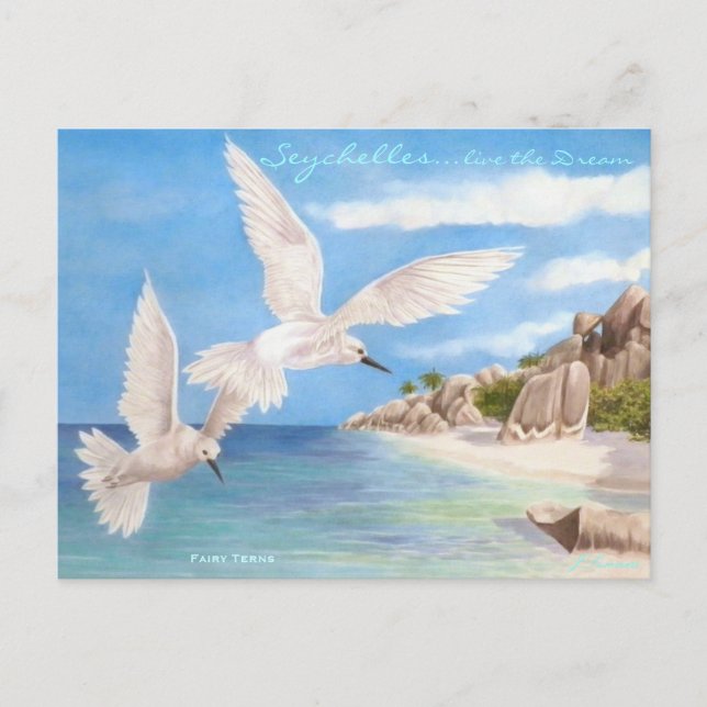 Fairy Terns Postkarte (Vorderseite)