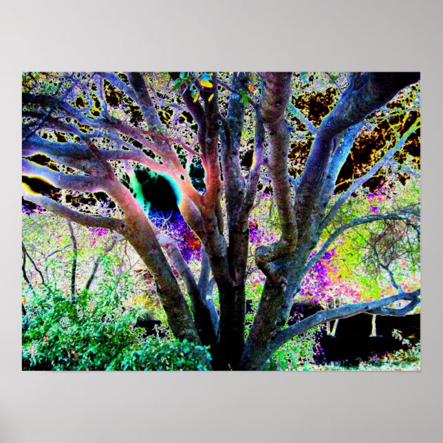 Fairy Tree Poster (Vorne)