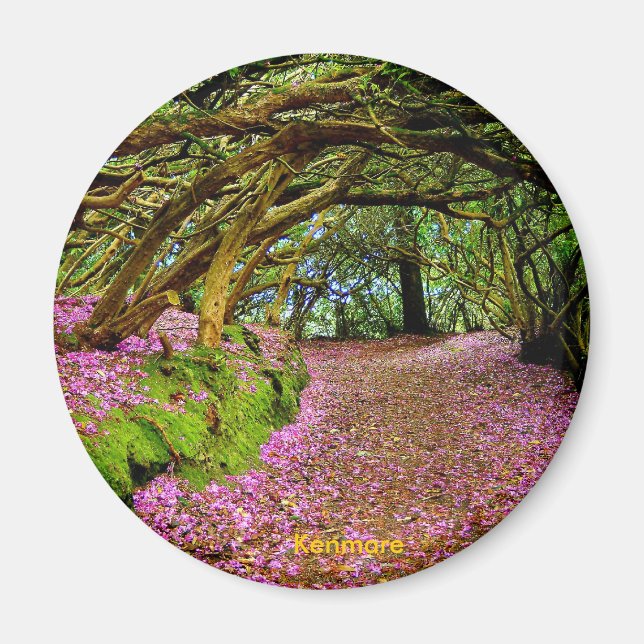 Fairy Tunnel, Kenmare Magnet (Vorne)