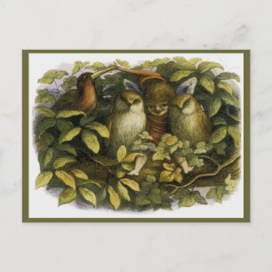 "Fairy with Owls" von Doyle Postkarte