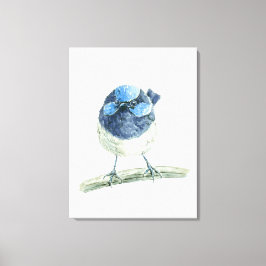 Fairy Wren Leinwanddruck