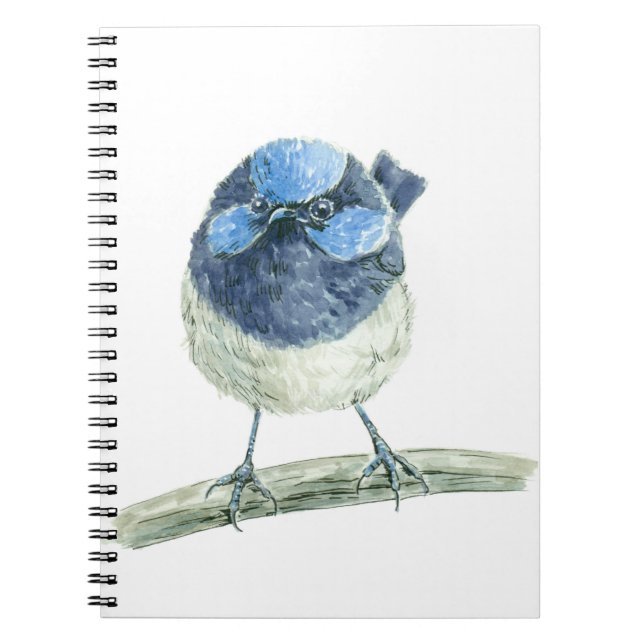 Fairy Wren Notizblock (Vorderseite)