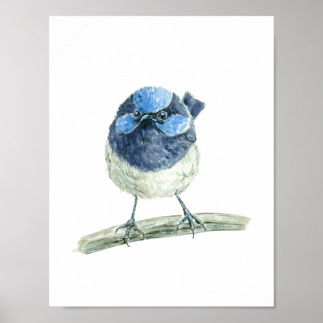 Fairy Wren Poster (Vorne)