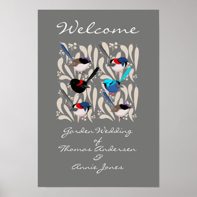 Fairy Wrens Poster (Vorne)