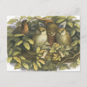 Fairyland, 1870 Fairy mit Eulen Postkarte