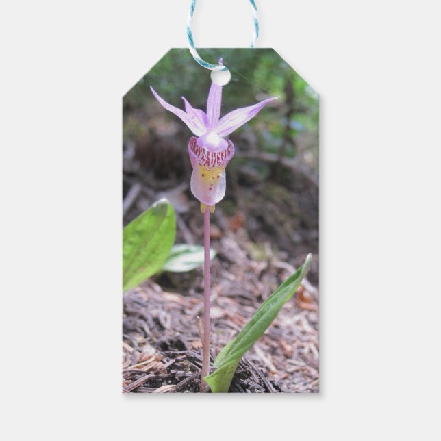Fairyslipper Orchid-Blume Geschenkanhänger (Vorderseite)