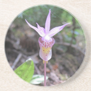 Fairyslipper Orchid-Blume Getränkeuntersetzer