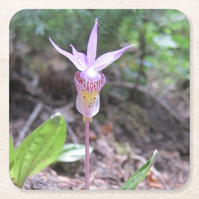 Fairyslipper Orchid-Blume Rechteckiger Pappuntersetzer (Vorderseite)
