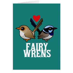 Fairywrens in der Liebe