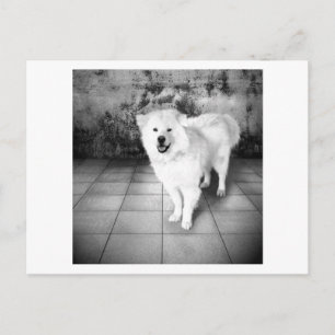 Faithful Liebe Postkarte