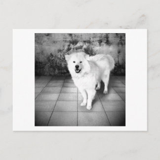 Faithful Liebe Postkarte