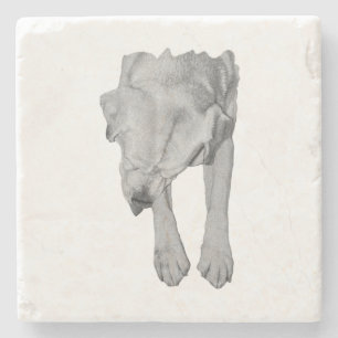 Faithful Pup im Herbstlicht Steinuntersetzer