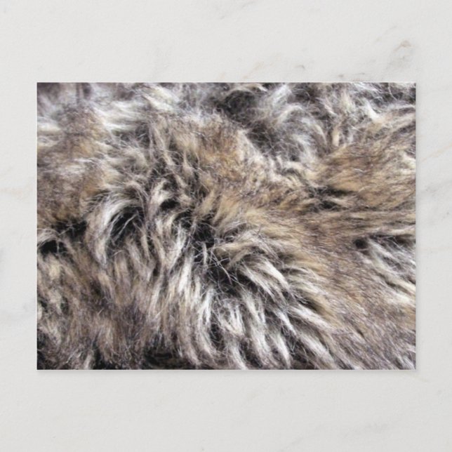 Fake Fur Textur Postkarte (Vorderseite)