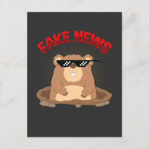 Fake News Pennsylvania Punxsutawney Postkarte