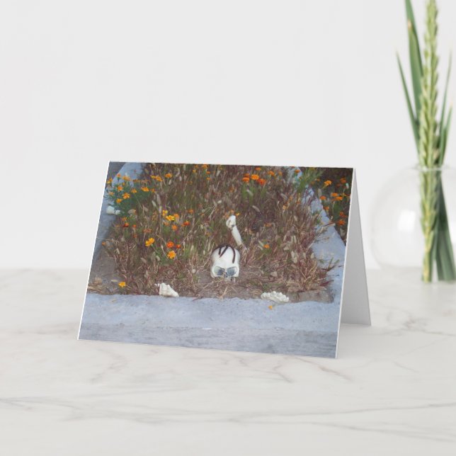 Fake Skeleton in Marigolds Dekoration Foto Karte (Vorderseite)