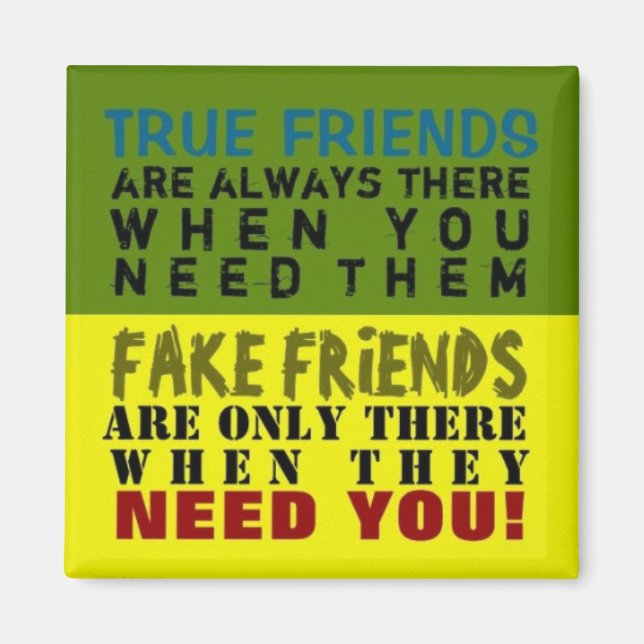 FAKE vs TRUE ~ Magnet Trugbild (Vorne)