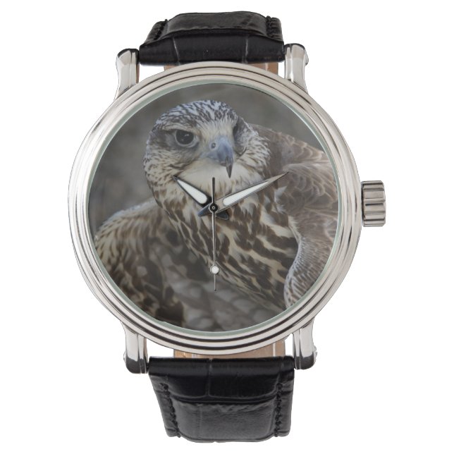 Falco cherrug armbanduhr (Vorderseite)