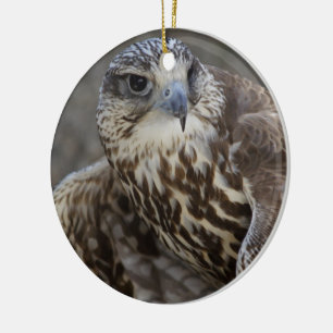 Falco cherrug keramik ornament