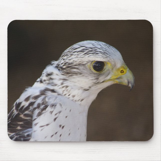 Falco rusticolus mousepad (Vorne)