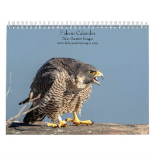 Falcon 2026 kalender