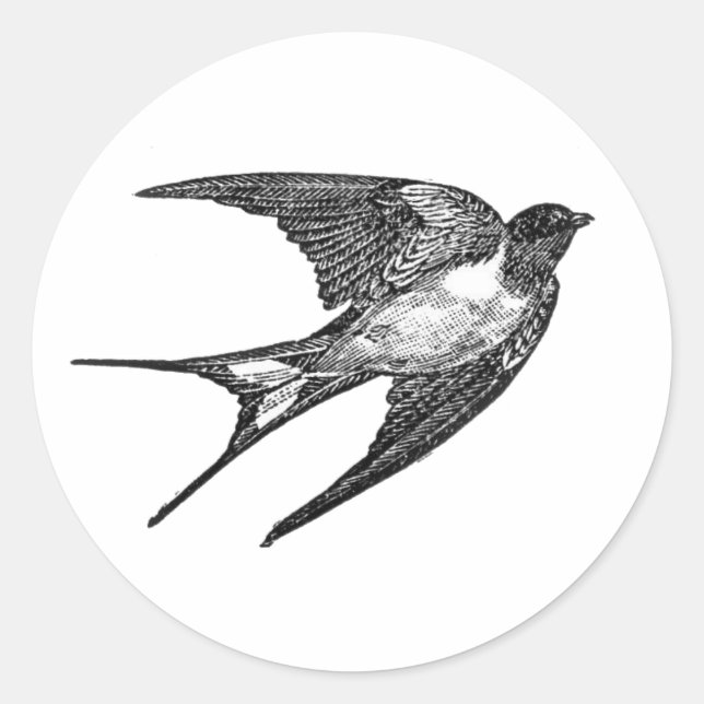 Falcon-Aufkleber in weißem Hintergrund Runder Aufkleber (Vorderseite)