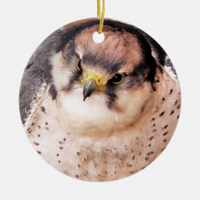 FALCON BIRD OF PREY KERAMIK ORNAMENT (Vorne)