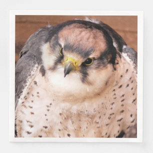 FALCON BIRD OF PREY SERVIETTE
