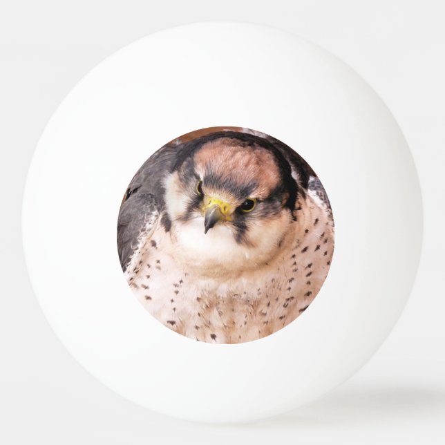 FALCON BIRD OF PREY TISCHTENNISBALL (Vorderseite)