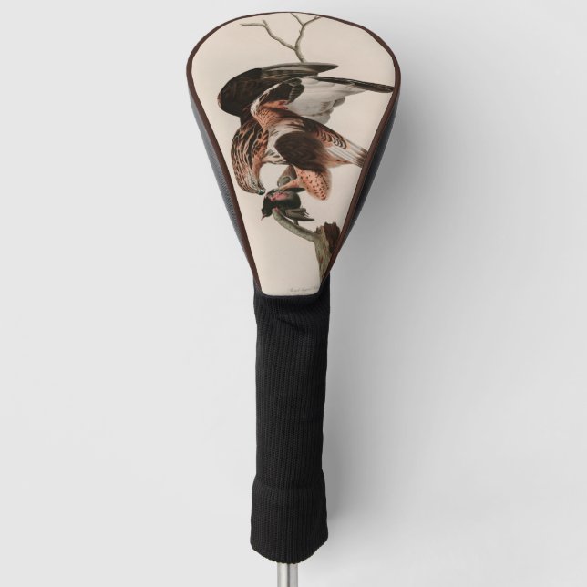 Falcon Birds of America Audubon Print Golf Headcover (Vorderseite)