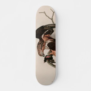 Falcon Birds of America Audubon Print Skateboard