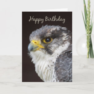 Falcon Birthday Grußkarte - Wilder Falcon Bird O Karte